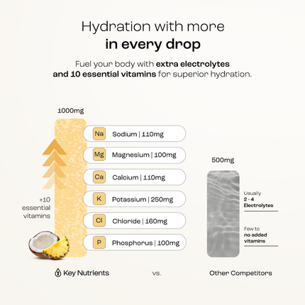Electrolyte Recovery Plus Powder (Sugar-Free)