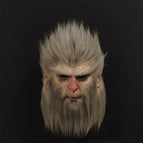 High-end - Black Myth Wukong Hood