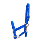Royal Blue / Miniature Horse