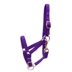 Purple / Miniature Horse