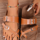 6 / Camel