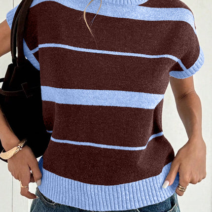 Sky Blue Stripe Striped Short Sleeve Round Neck Casual Knit Top