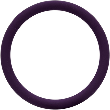 18G 3/8 Dark Purple Matte Cartilage Hinged Segment Ring