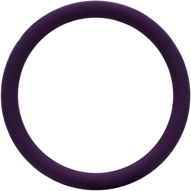 18G 3/8 Dark Purple Matte Cartilage Hinged Segment Ring