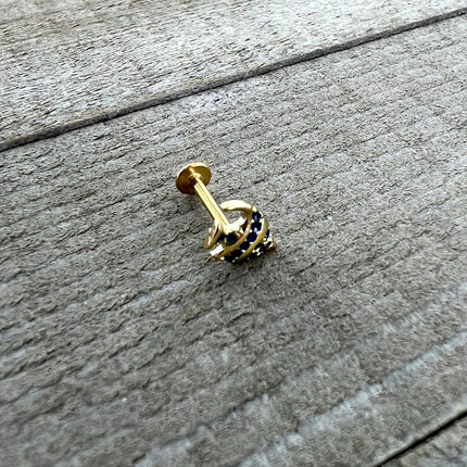 16G 5/16 Gold Tone Blue Adorable Angelfish Labret Monroe Tragus