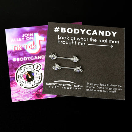 14G 9/16 Purple Gem Bee Beautiful Insect Barbell Nipple Ring Set