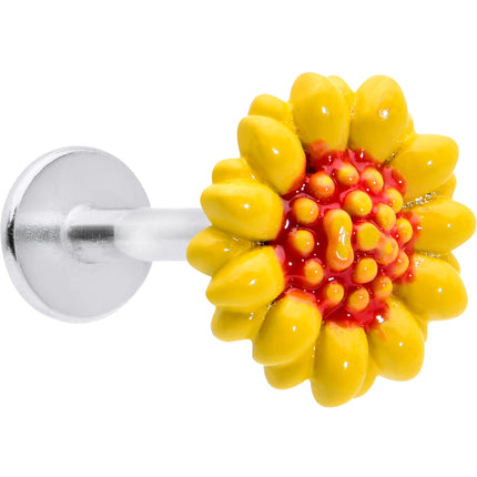 16G 5/16 Happy Sunflower Yellow Labret Monroe Tragus
