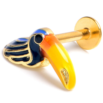 16G 5/16 Gold Tone Tropical Toucan Labret Monroe Tragus