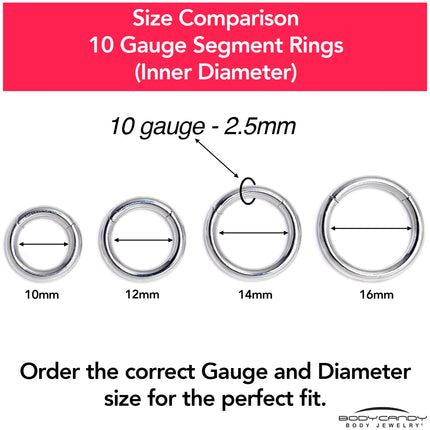 10G 3/8 316L Surgical Steel Precision Hinged Segment Hoop