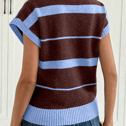 Sky Blue Stripe Striped Short Sleeve Round Neck Casual Knit Top