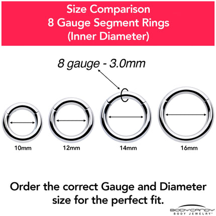 8G 3/8 316L Surgical Steel Precision Hinged Segment Hoop