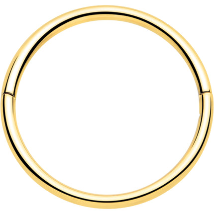 20G Implant Grade Titanium Half Closure Hinged Segment Ring
