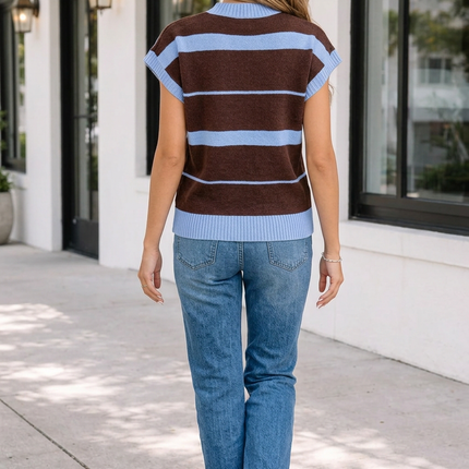 Sky Blue Stripe Striped Short Sleeve Round Neck Casual Knit Top