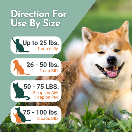 Arthri-Pawz – with Glucosamine for Cats and Dogs