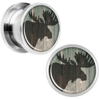 12mm (1/2