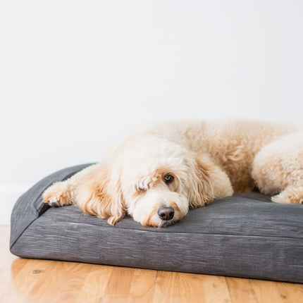 Dog Bed Lounger