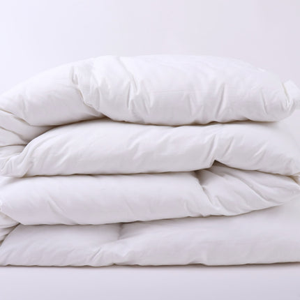 Down Duvet Insert