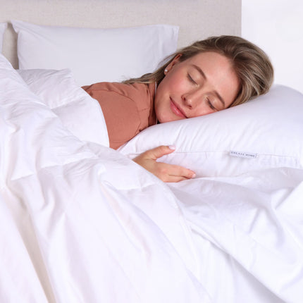 Down Duvet Insert