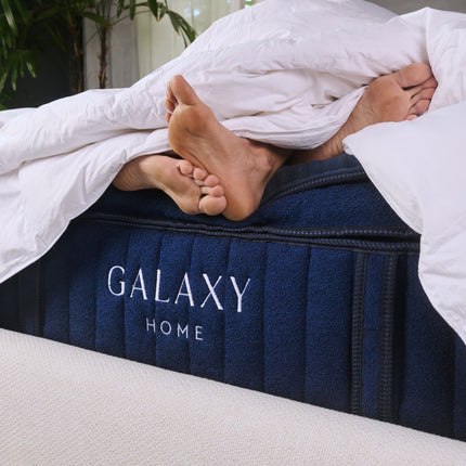 Down Duvet Insert