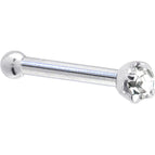 20 Gauge / Bone