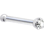20 Gauge / Bone
