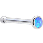 20 Gauge / Bone