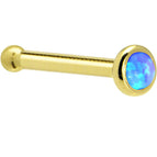 20 Gauge / Bone