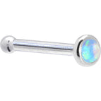 20 Gauge / Bone
