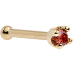20 Gauge / Bone
