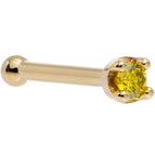 20 Gauge / Bone