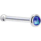 20 Gauge / Bone