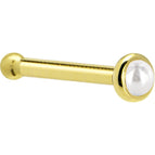 20 Gauge / Bone