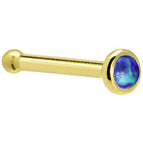 20 Gauge / Bone