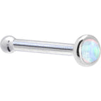 20 Gauge / Bone