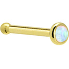 20 Gauge / Bone