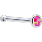 20 Gauge / Bone