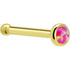 20 Gauge / Bone