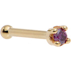 20 Gauge / Bone