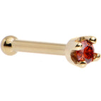 20 Gauge / Bone