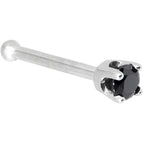 20 Gauge / Bone