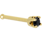 20 Gauge / Bone