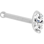 20 Gauge / Bone