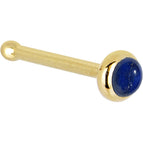 20 Gauge / Bone