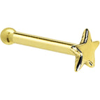 20 Gauge / Bone