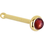20 Gauge / Bone