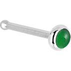 20 Gauge / Bone