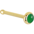20 Gauge / Bone
