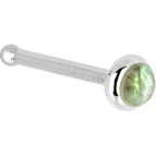 20 Gauge / Bone