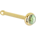 20 Gauge / Bone