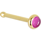 20 Gauge / Bone